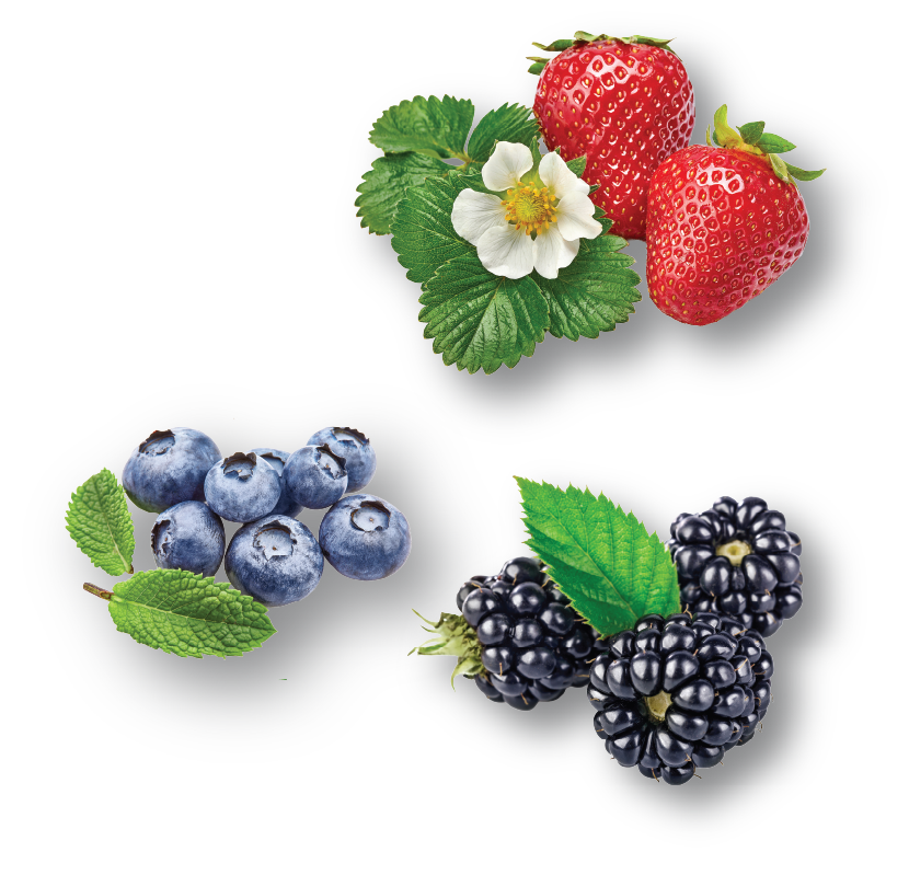 Berries